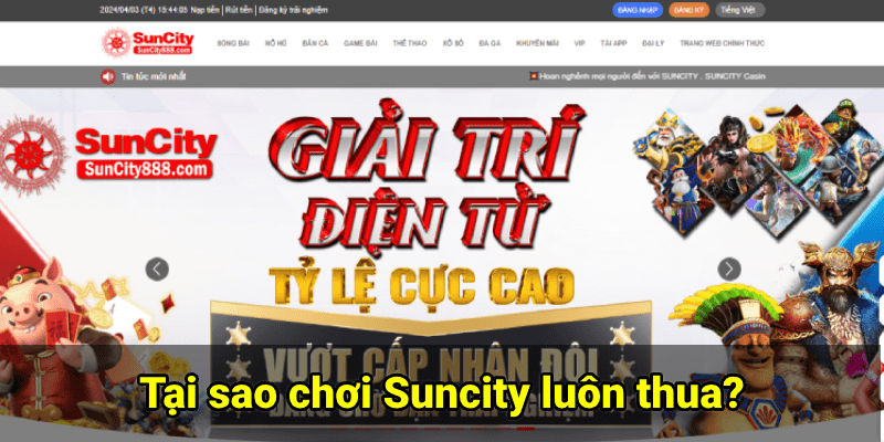 Tại sao chơi Suncity luôn thua? Kinh nghiệm cược toàn thắng